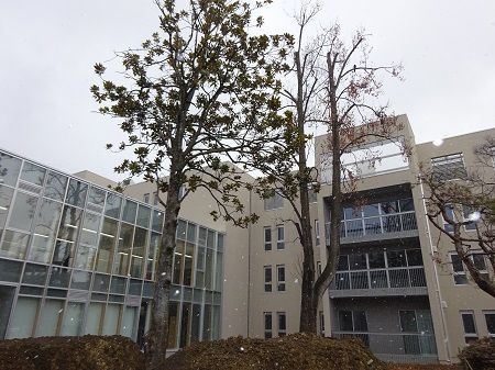 2月9日 長野県立大学 後町キャンパス象山寮 で寮祭 小林玲子の善光寺表参道日記