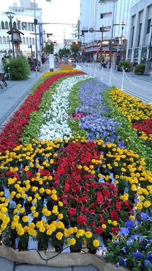 第18回 善光寺花回廊 花がお出迎えする善光寺門前町 小林玲子の善光寺表参道日記