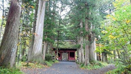 鳥居から参道2 標高差140ｍ 戸隠神社奥社に参拝 小林玲子の善光寺表参道日記