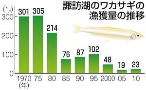 諏訪湖 ワカサギが大量死で激減し 投網漁の解禁が危ぶまれる事態に 長野県の地元ニュース速報