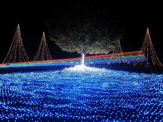 長岡の夏の夜の定番 サマーナイトプレゼンツ 間もなく開催終了 ながおか通信