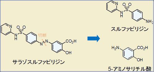 腸疾患治療薬 太田東こども おとな診療所使用薬品解説