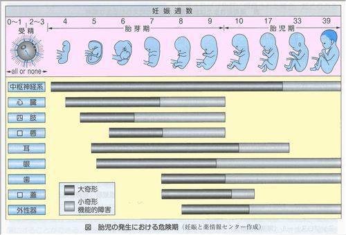 妊娠とくすり こどものくすり