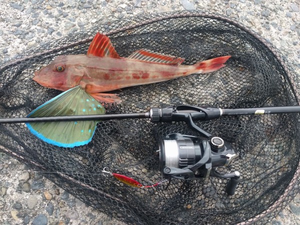 19年7月 垂水マイクロショアジギング 長屋王blog