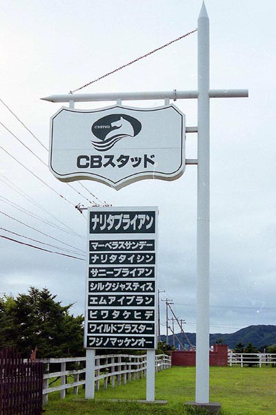 ナリタブライアン 陶器 早田牧場　有馬記念 ナリタブライアン 陶器 早田牧場 有馬記念