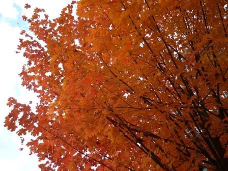 盛岡散歩道 松下幸之助語録 サングラスとメガネのプロショップ