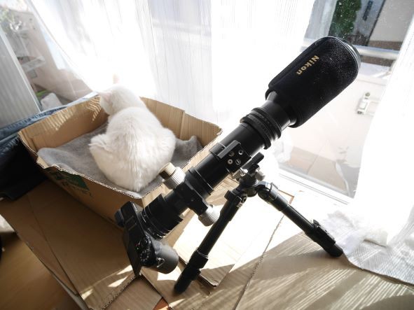 投稿：ポータブル手動式赤道儀を使って撮ったM31＆レナード彗星【追記
