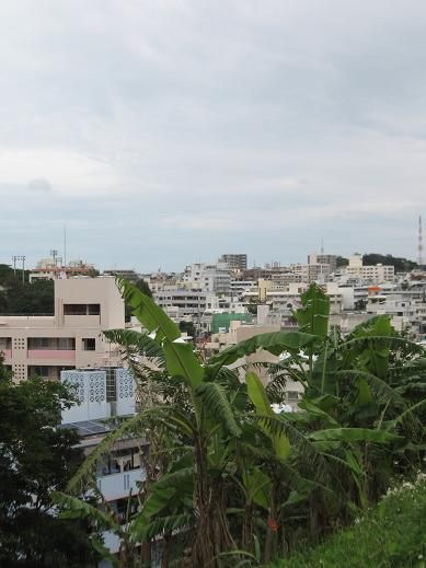 沖縄に住む 別荘を持つ有名人情報 ナカムラさんのお得 沖縄不動産情報