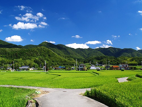 別れ道 なかむら写真局のブログ