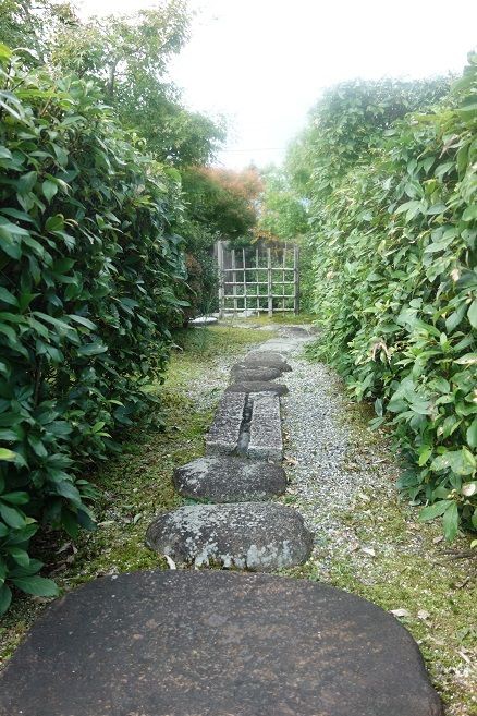 小さな秋を感じる瞬間に遭遇 ガーデニング工房 風我里 滋賀から発信