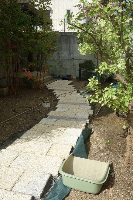 可愛いお庭の住人に遭遇 ガーデニング工房 風我里 滋賀から発信