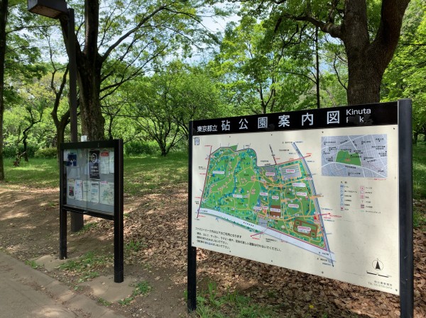 新緑の砧公園 豪華な遊具 ジップラインもある 中野龍三web