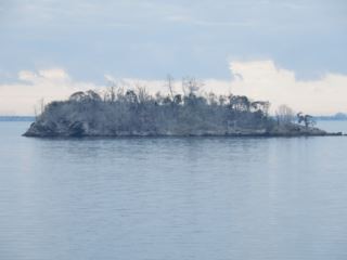 木が枯れて真っ白 礫 つぶて 島 浜松市 三河 遠州 南信州をセロー225でツーリング