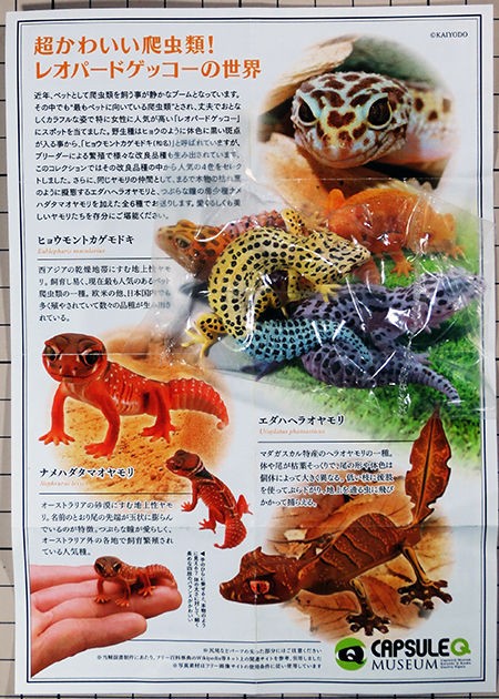 ヤモリ大全3 ヒョウモントカゲモドキ(ブリザード) 海洋堂 カプセルQ