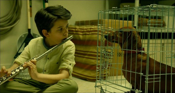 トッド ソロンズの子犬物語 感想 いけにえ映画狂い