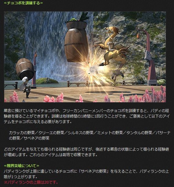 雑記 バディ限界突破の調整 やっぱルガディンなんだよな