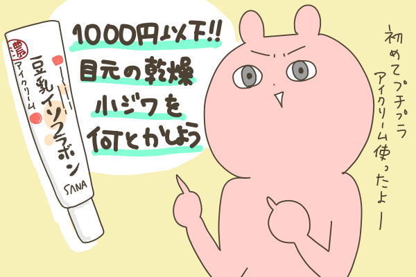 １０００円以下のプチプラアイクリームで乾燥小じわケア なーみん絵日記 Powered By ライブドアブログ