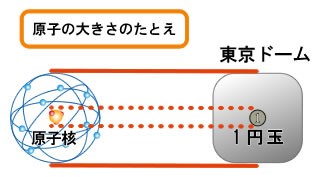 大きさについて するどい鼻