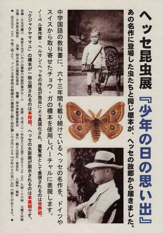 映画を見て するどい鼻