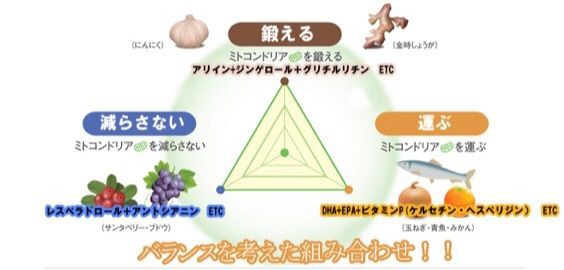 妊活 卵活を応援する総合サプリ ミトコンサプリp3 Happy主婦ブログ