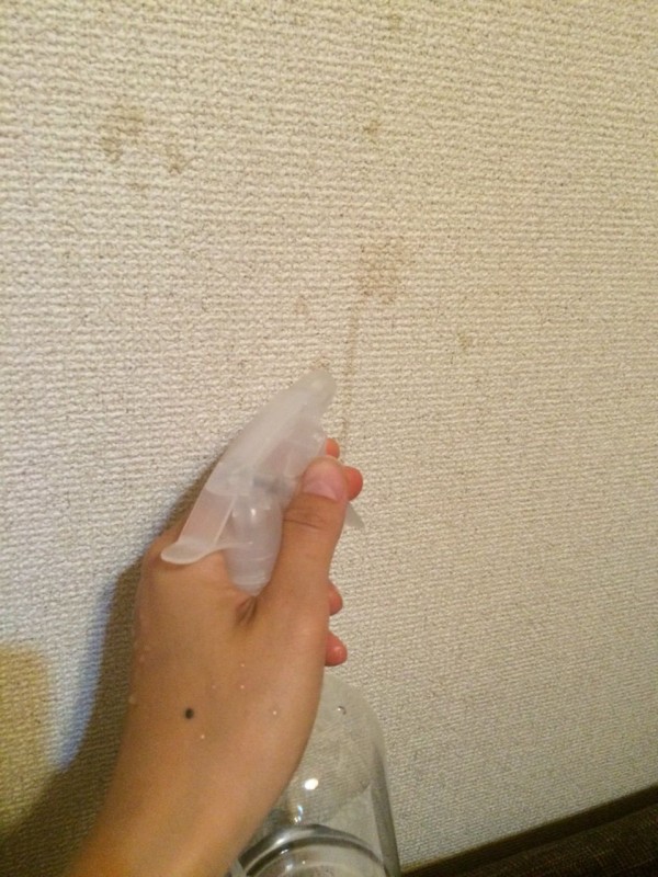 壁紙のコーヒーシミを撃退 Happy主婦ブログ