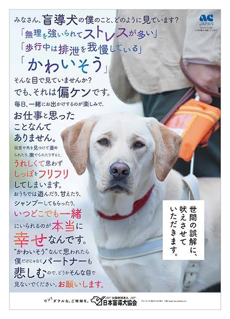 世間の人 盲導犬ってかわいそうだよね 盲導犬協会 ｼｭﾊﾞﾊﾞﾊﾞﾊﾞ なんjなんjアンドなんj