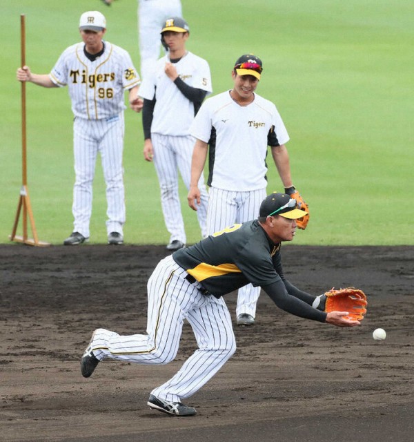 朗報 阪神のショート 埋まる なんじぇいスタジアム なんjまとめ