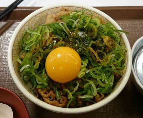 ねぎ玉牛丼 おすすめno 1inすき家 すき家シリーズ第３弾 なんでもできるもん