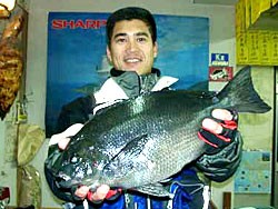 佐世保市の城島健司さん、プロ転向を勧められる : 僕自身なんJを