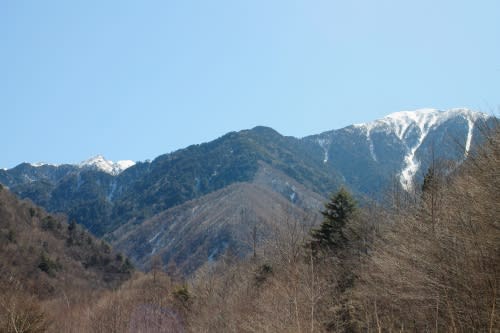 13年冬の別荘黒犬雪遊び ー後編 ウチのナマモノ