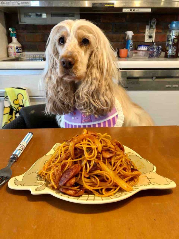 レディ ラプンツェル ウチのナマモノ