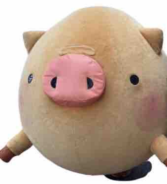 ころとん お誕生日おめでとう すずめのつぶやき