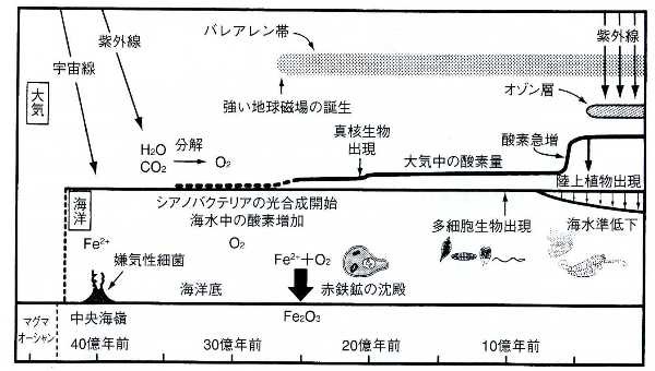 酸素の起源と生物の進化 地球セミナ27 2 いつでもloupe