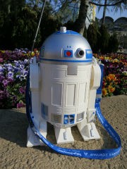 R2 D2のポップコーンバケット ｐｈｏｔｏ日記