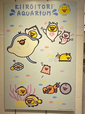 キイロイトリ アクアリウム : PHOTO日記