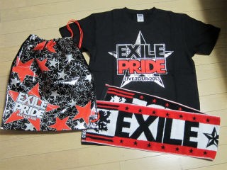 EXILE LIVE TOUR 2013』 : PHOTO日記