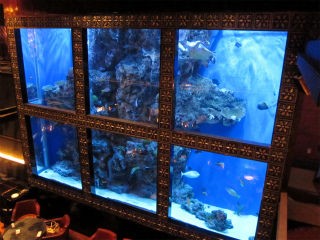 アクアレストラン ｌｕｘｉｓ ｐｈｏｔｏ日記