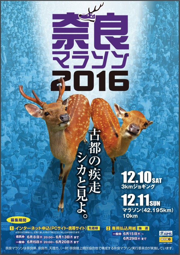 奈良マラソン16のパンフレット 奈良マラソンを走ろう