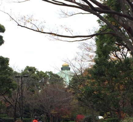 北の丸公園の玉ねぎと神宮外苑のハンバーガー はなこの仏像大好きブログ