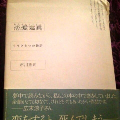 恋愛写真 市川拓司 好きって何 ってなったら 本喰いのブログ
