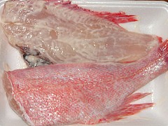 赤魚と赤魚鯛 アコウダイ を混同してはいけない Nasugamamapapa