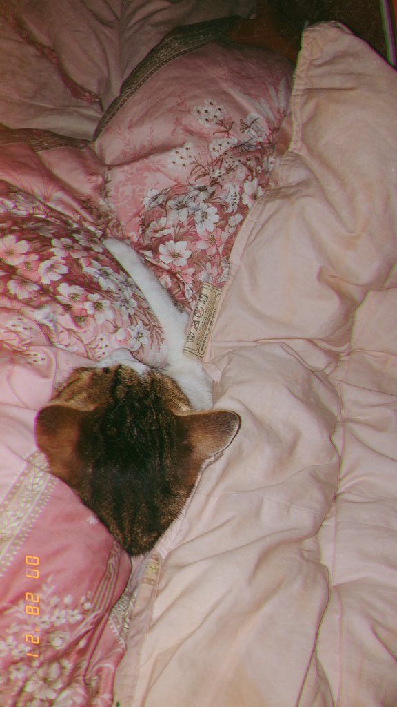 わ ねおくんいいな T Co Fcli 地下アイドル速報局