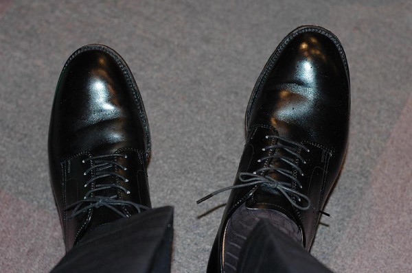 入荷 | ALDEN 53507 プレーントゥカーフ : NATORIYAのブログ