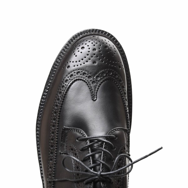 入荷 | ALDEN (オールデン) 97522 LONG WING バリー クロムエクセル 
