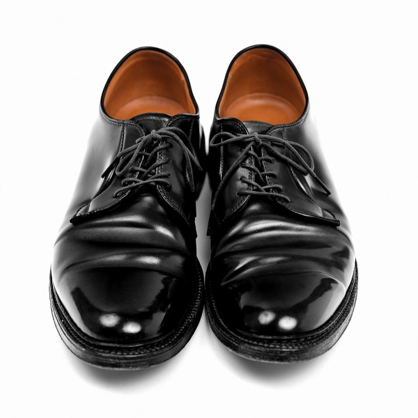 入荷 | ALDEN (オールデン) 9901 バリー CLIPPER コードバン