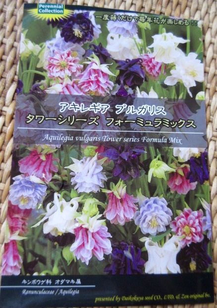 西洋オダマキ 種まき こそっと菜園 西洋オダマキ 種まき こそっと菜園