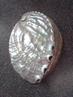 目指せ：磨きアワビへの道～第五段階～ひたすらシコれ！～ : 一期一会