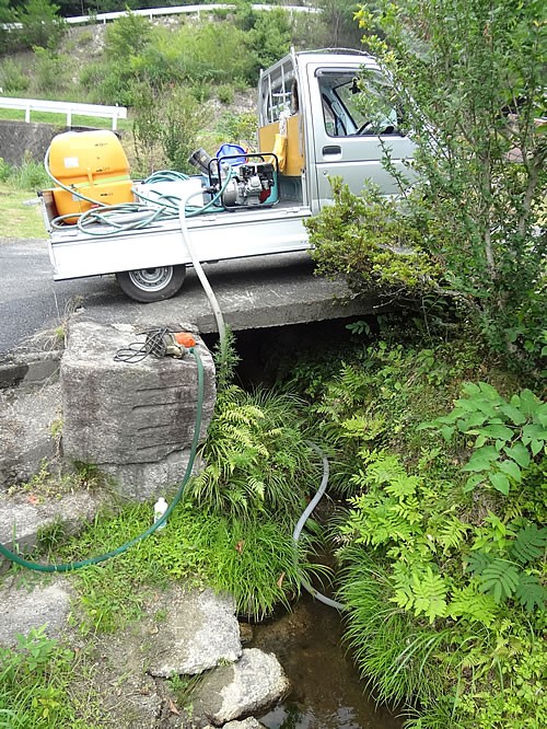水やりをしたら 愛知の田舎で古民家暮らし