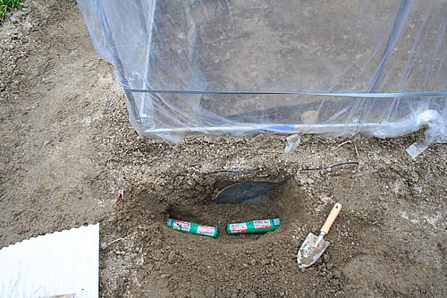 モグラ捕獲 愛知の田舎で古民家暮らし