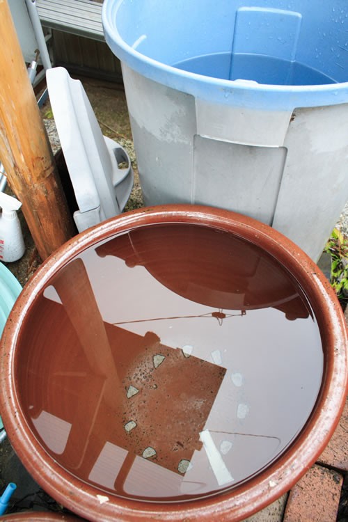 雨上がり 雨水タンクは満杯 愛知の田舎で古民家暮らし